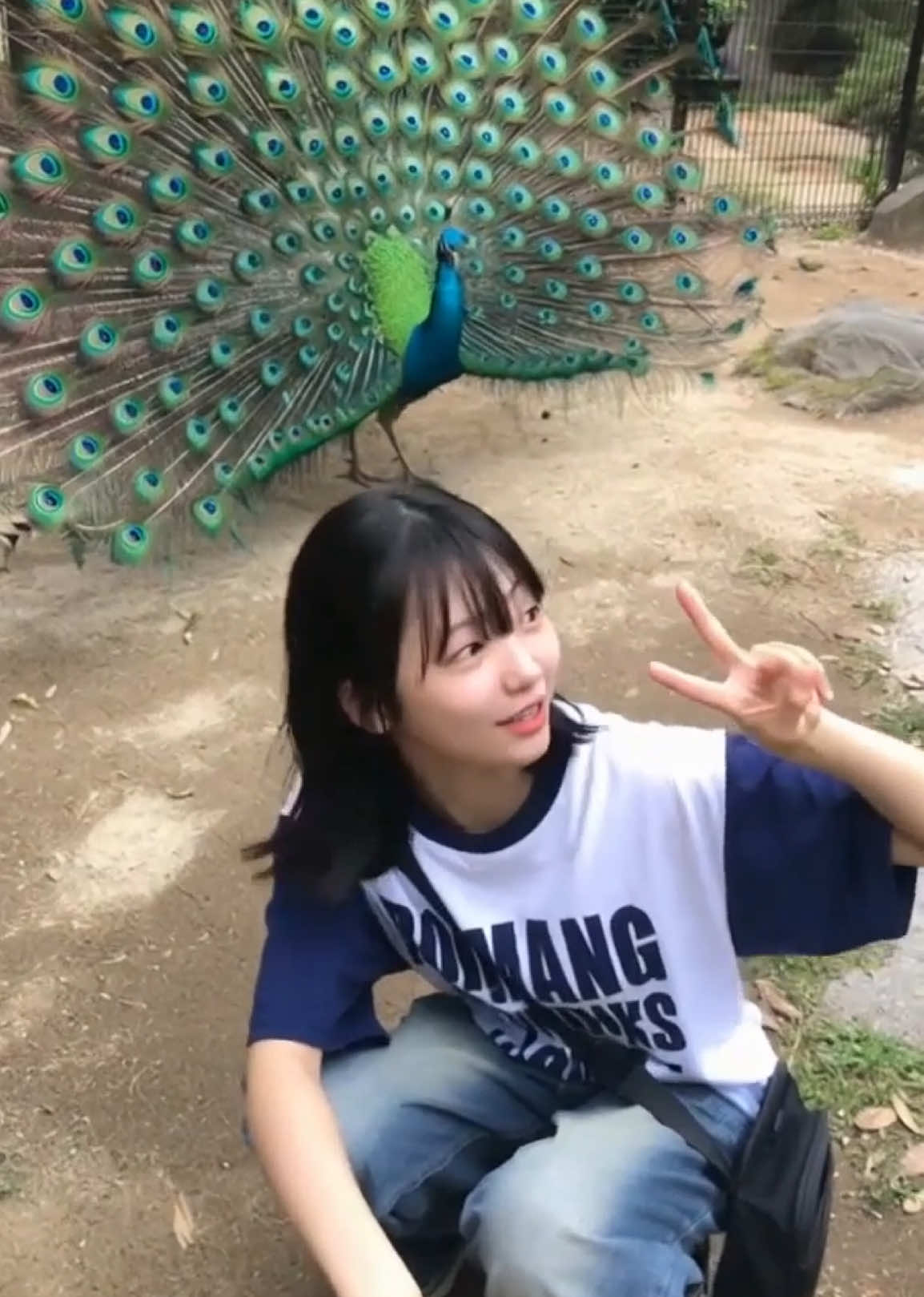 @とめ_AI