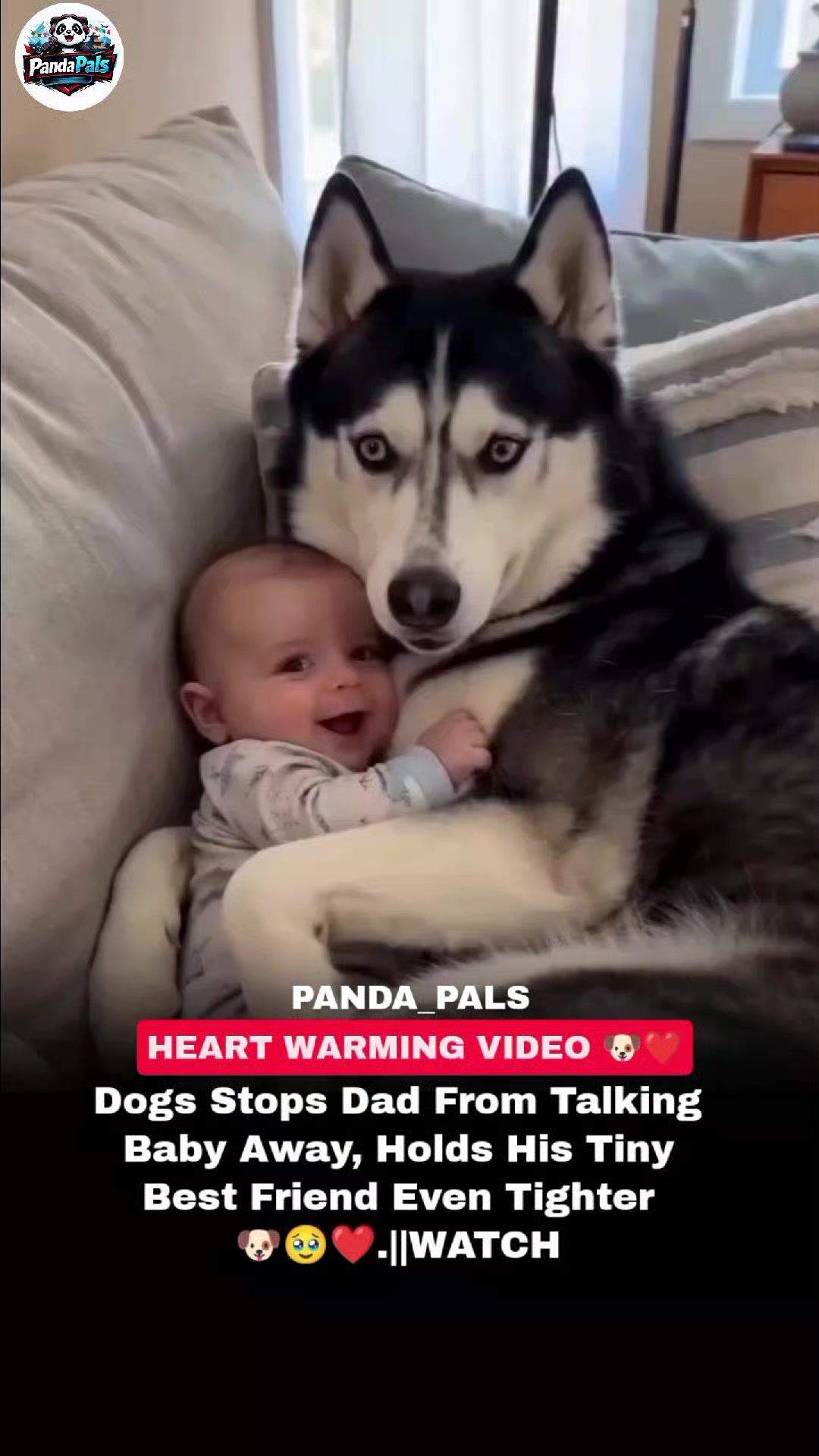 @PandaPals