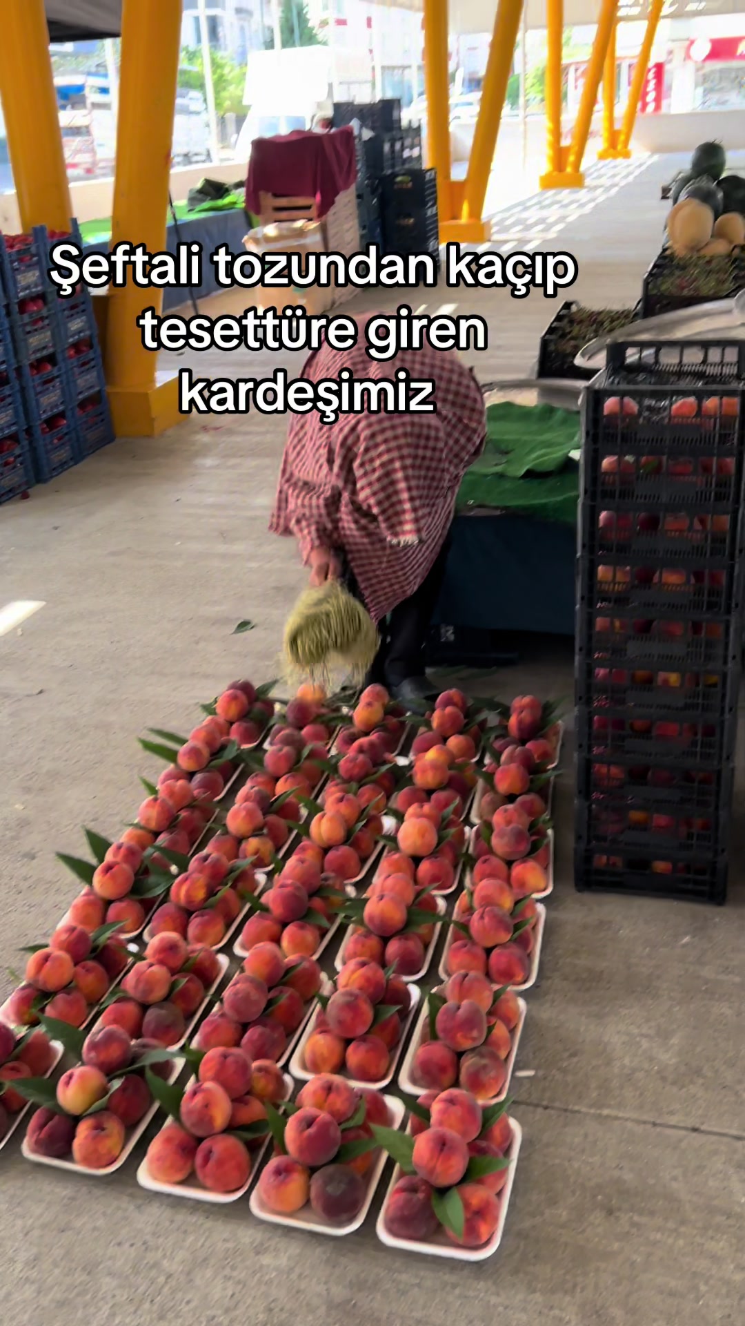 @Pazarcılar