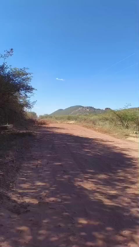 @dito_766