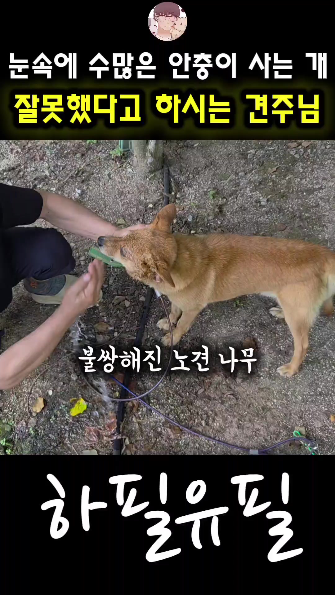 @하필유필