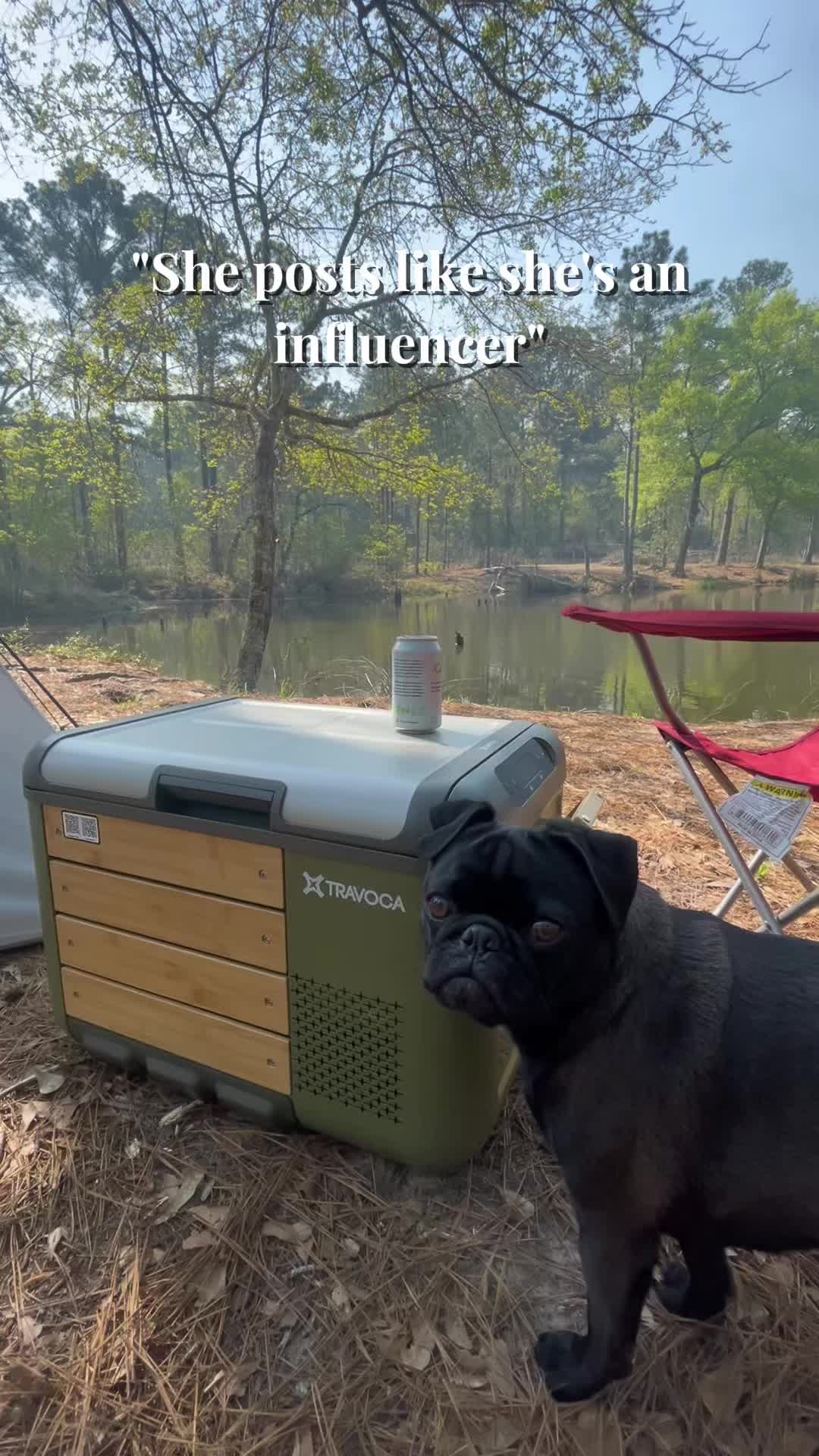 @papitheservicepug