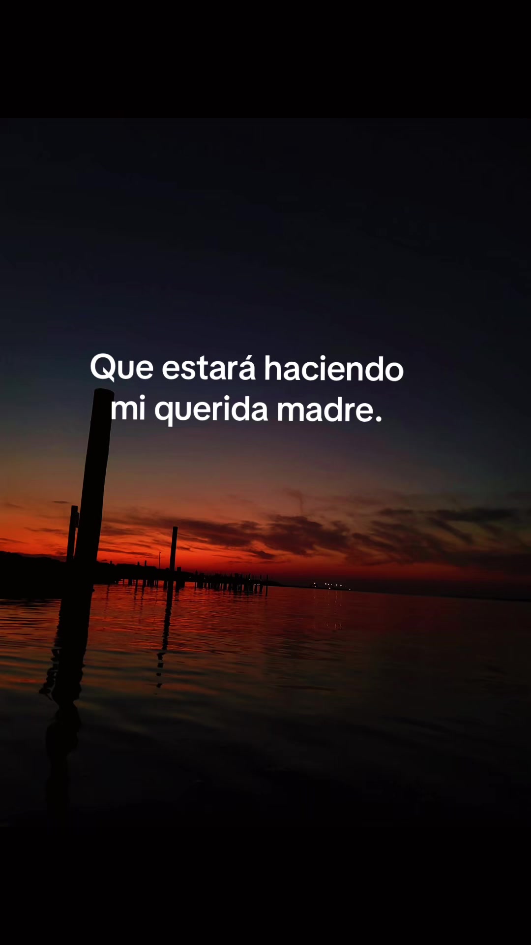 @Carol🌺yuleydi 🌺🐬🐈🐾