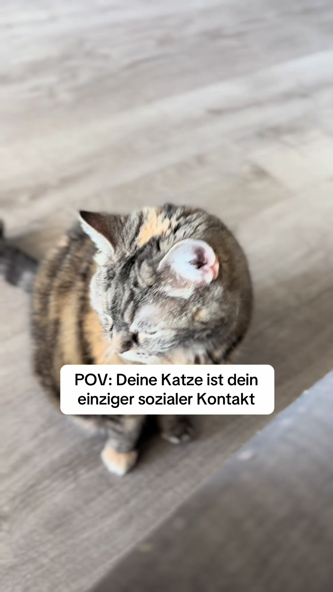 @Polly Zist