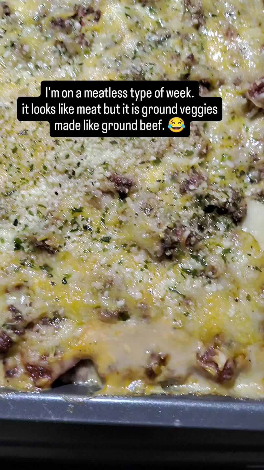 @TaylorMayd