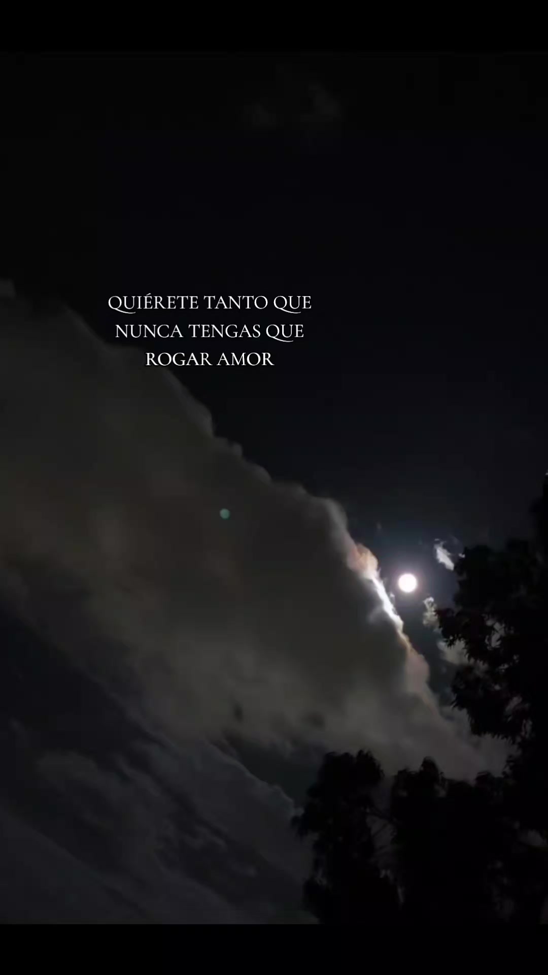 @rodriiguiit00