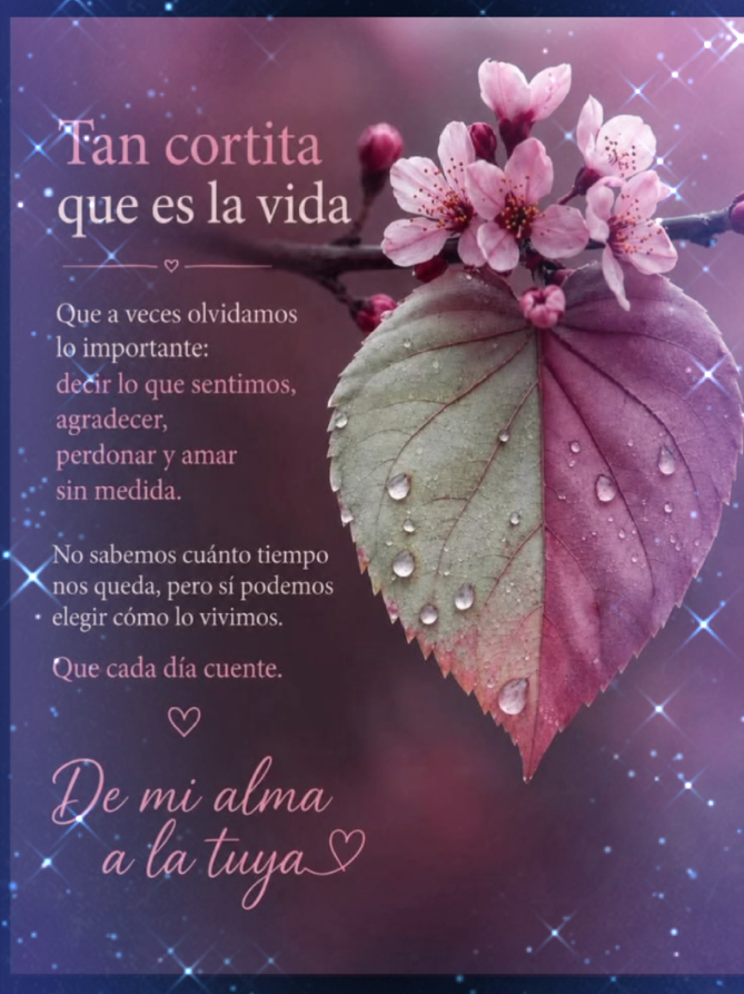 @✨Carlos 👍✨