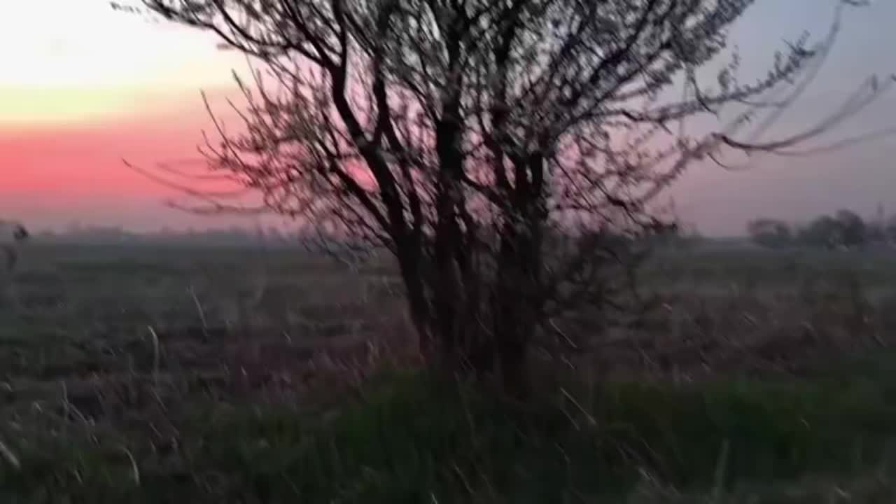 @Алексис