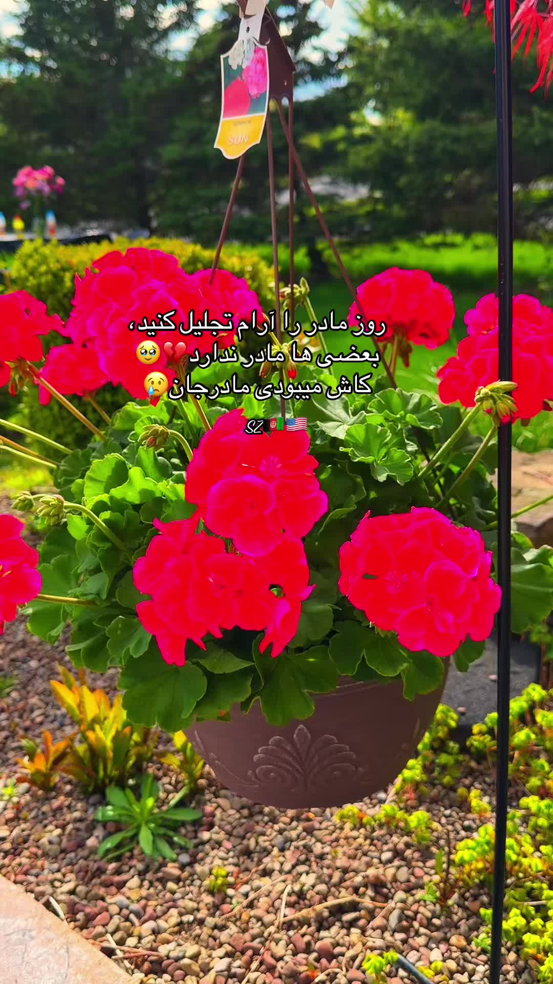 @Shamilazia🇦🇫🇺🇸