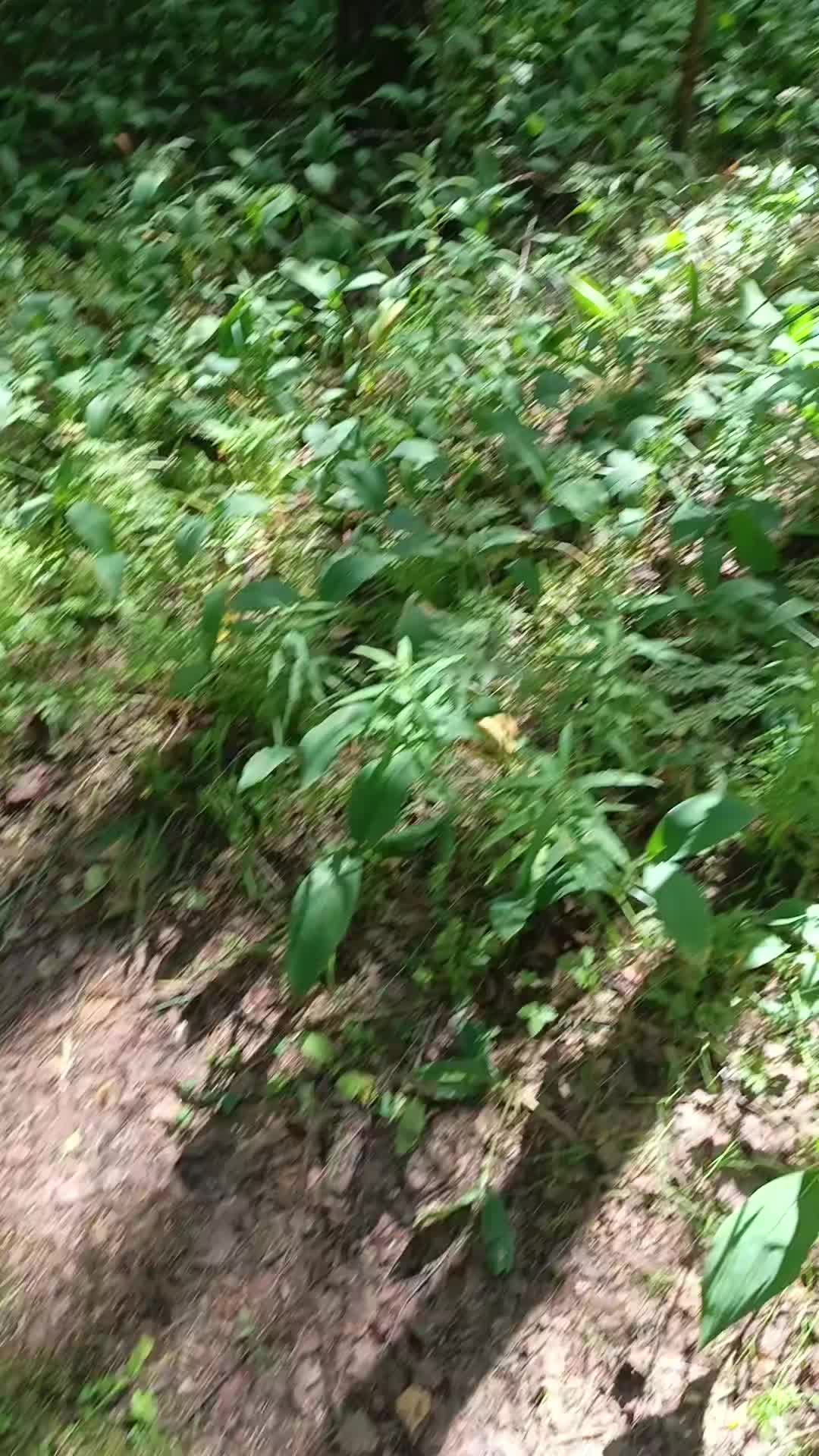 @мучачо