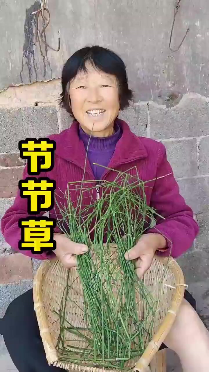 @珍姐照護變現/好物分享