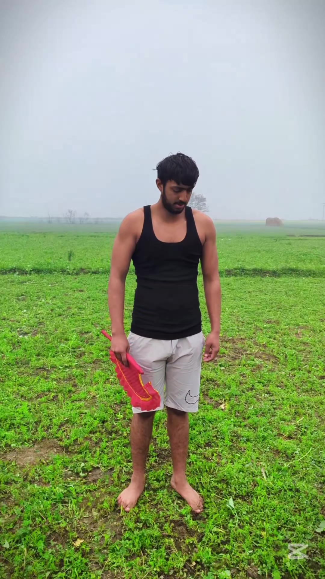 @Hassan Tipu