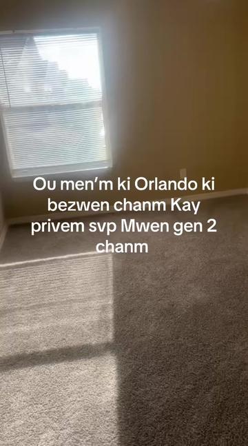@liline85