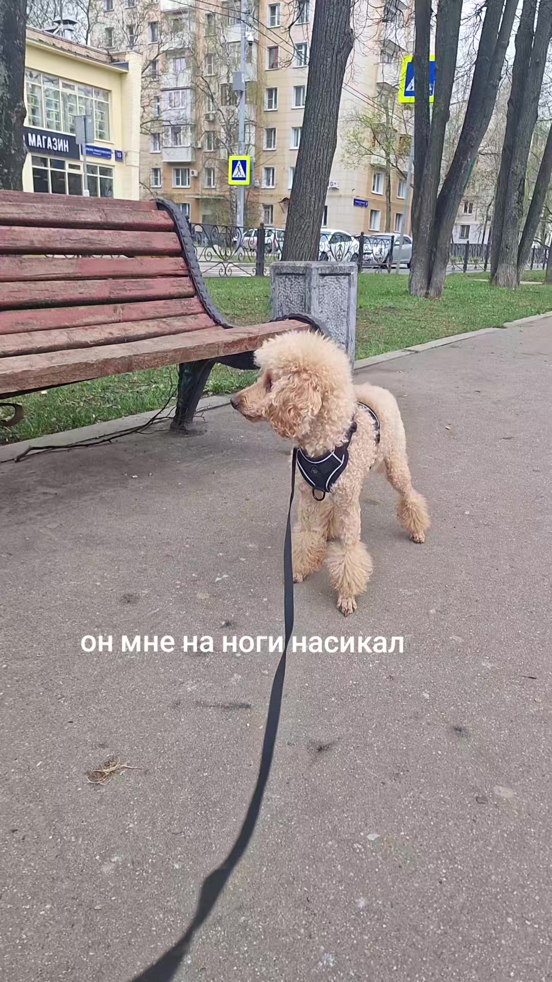 @nngnshkkk