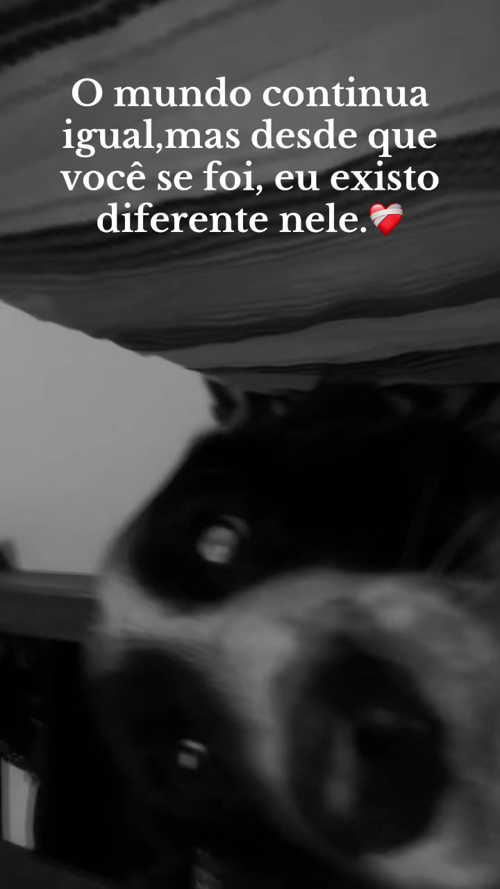 @Gabrielly Gabriel