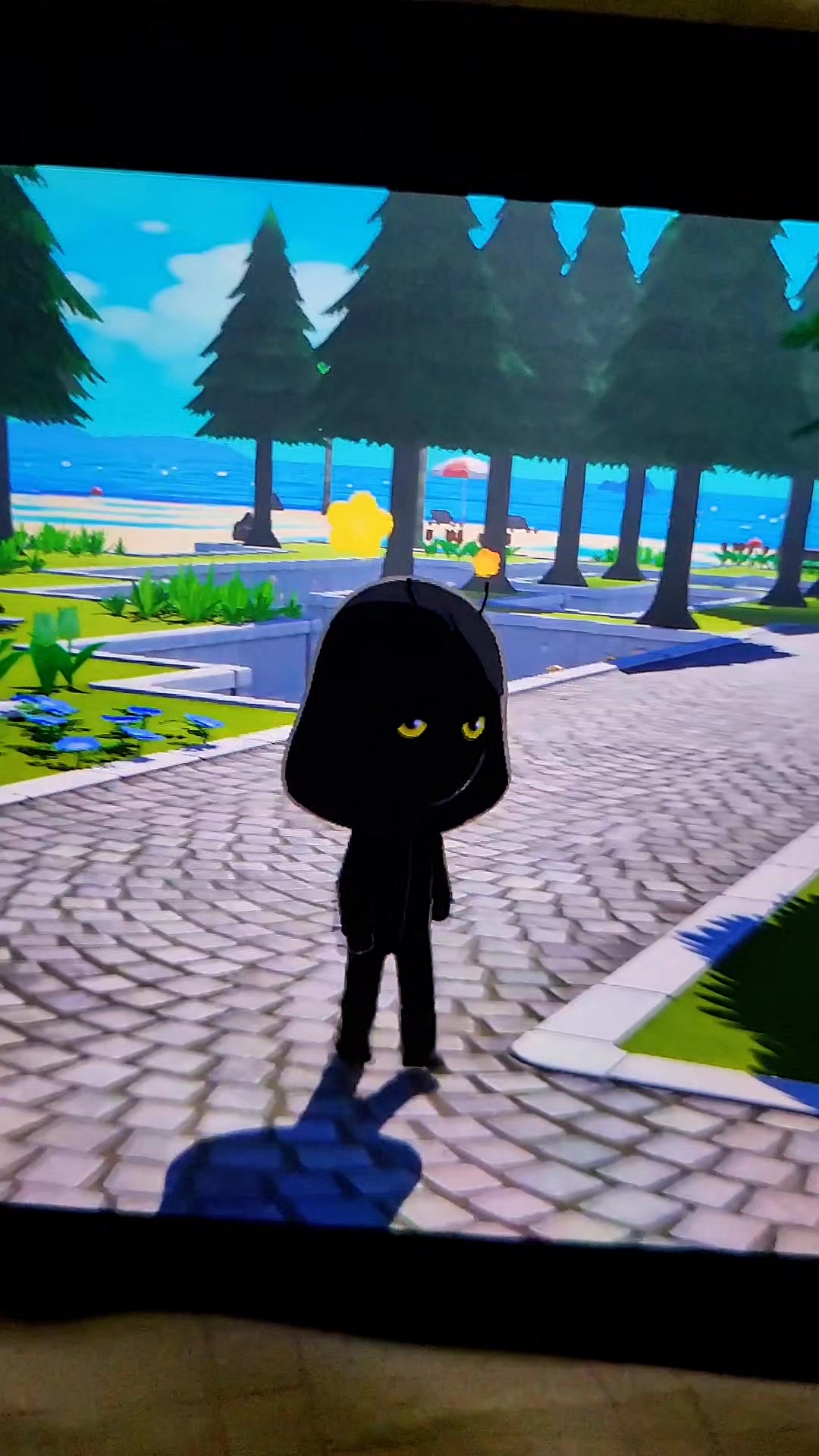 @Miraculous Raven