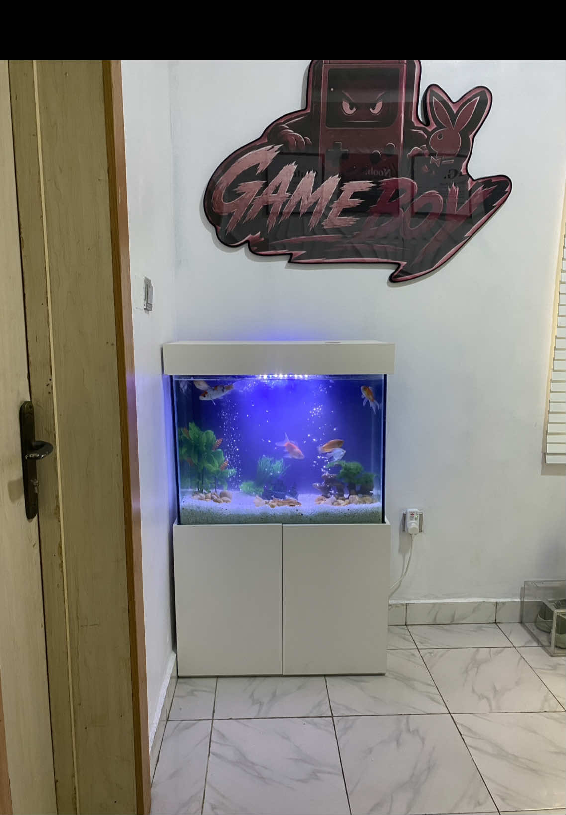 @fishtanks4u_