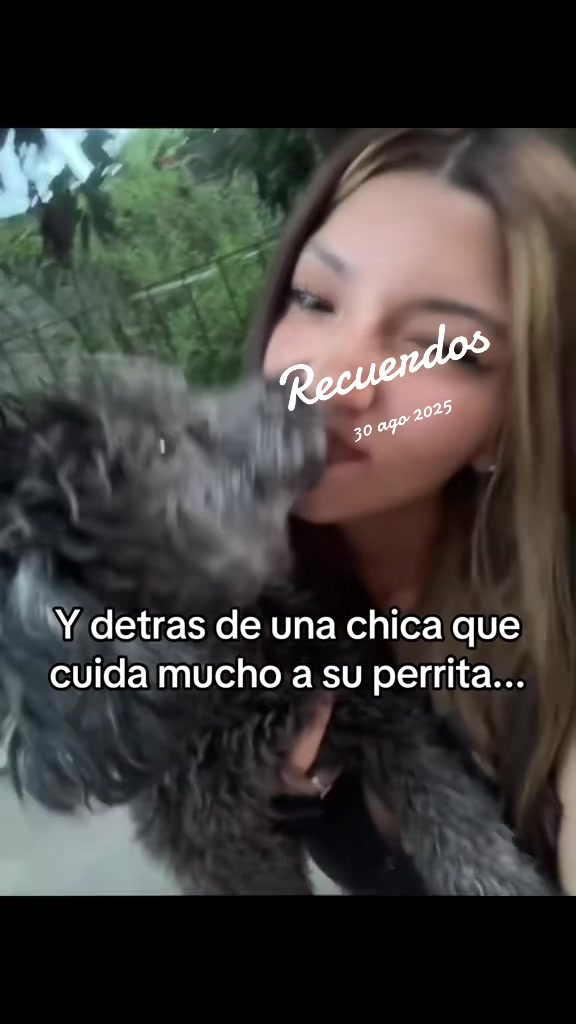 @Ludmila Robles