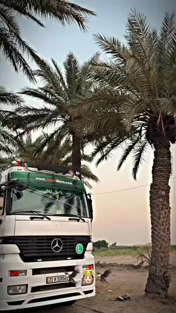 @عبدالله العساف 🪬
