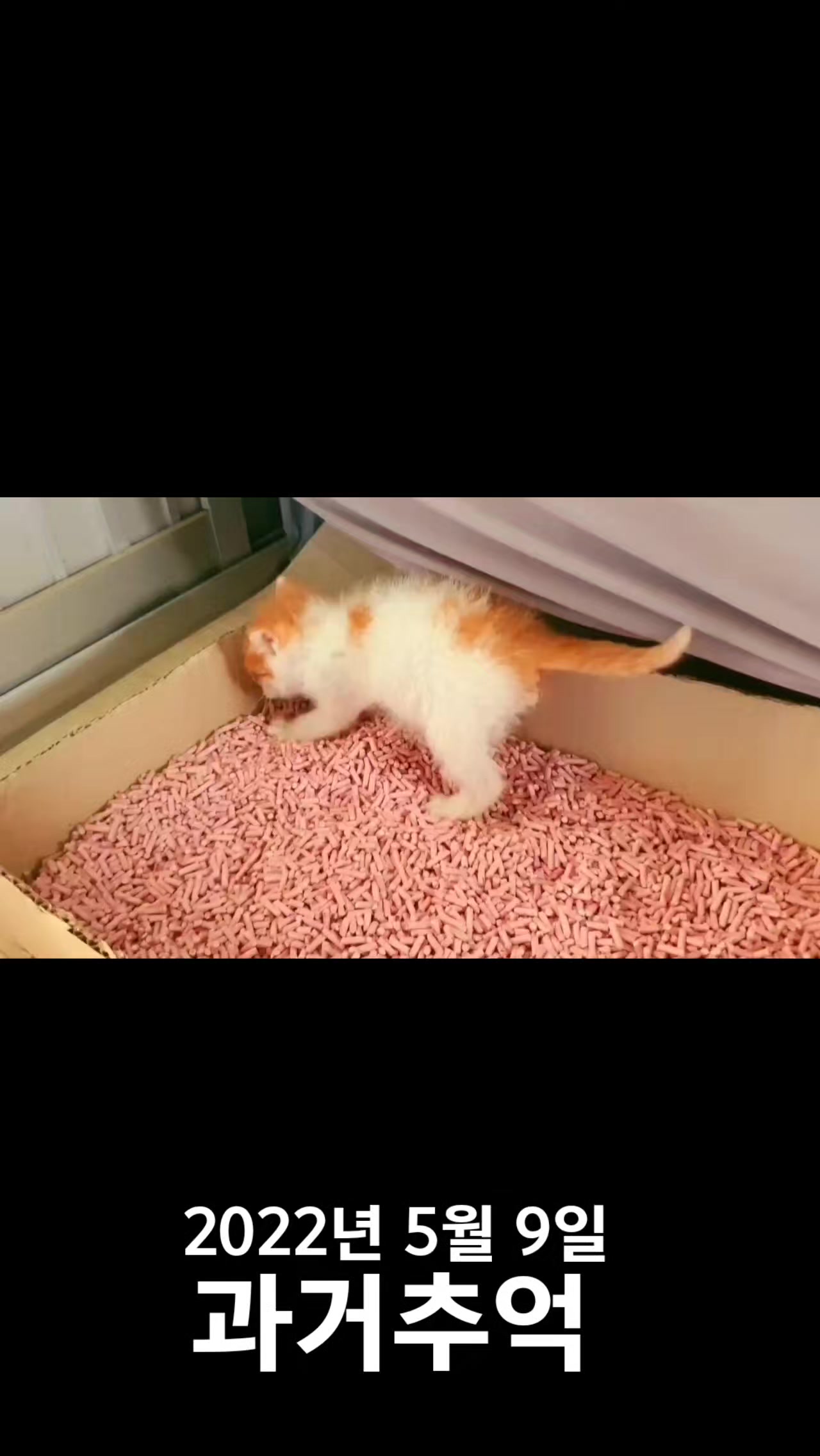 @๋์ฐ๐ถ๐