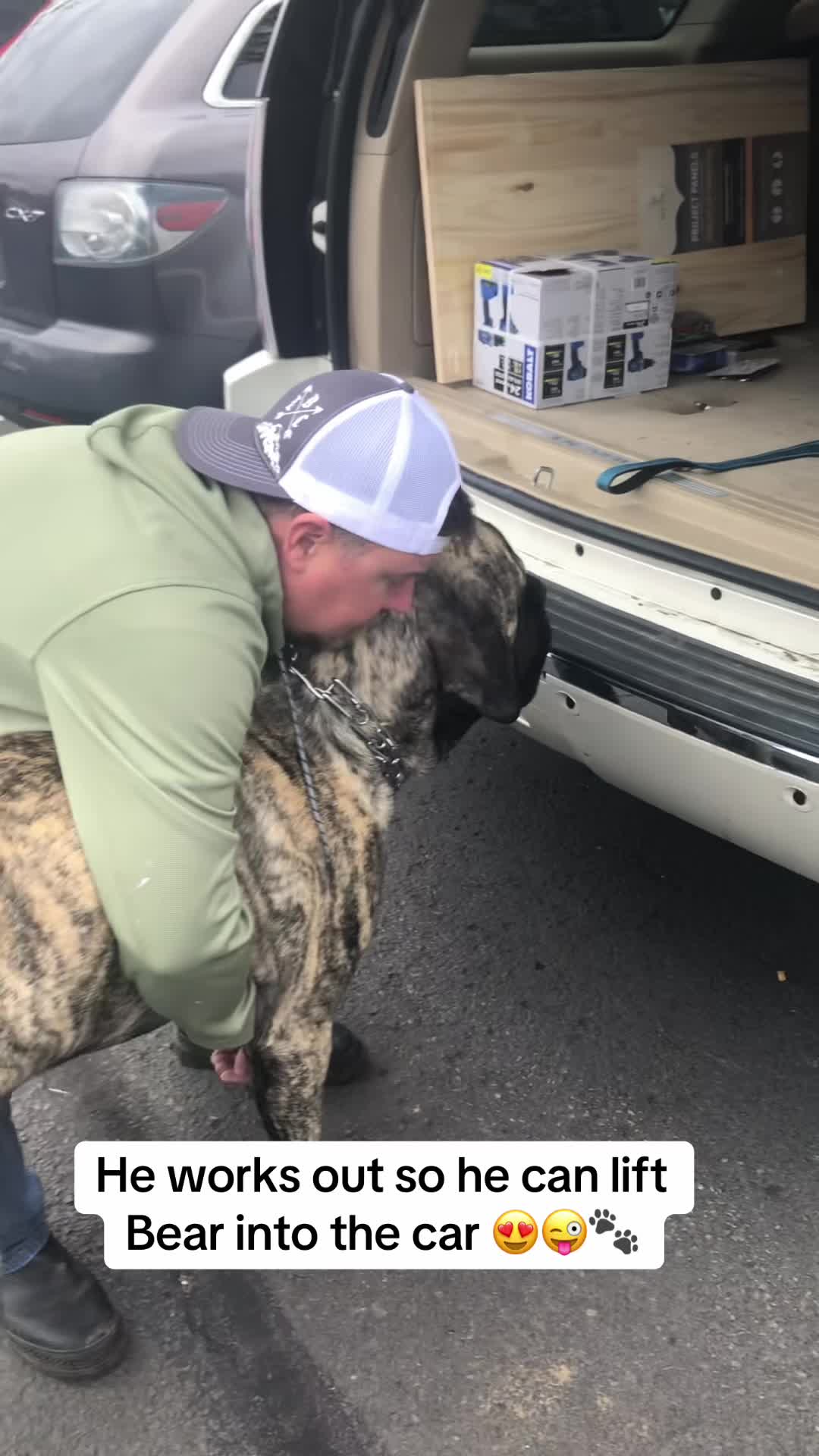 @BrindleBearTheMastiff