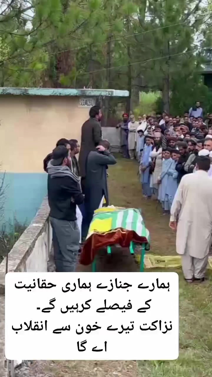 @Dani Abbasi Kashmiri