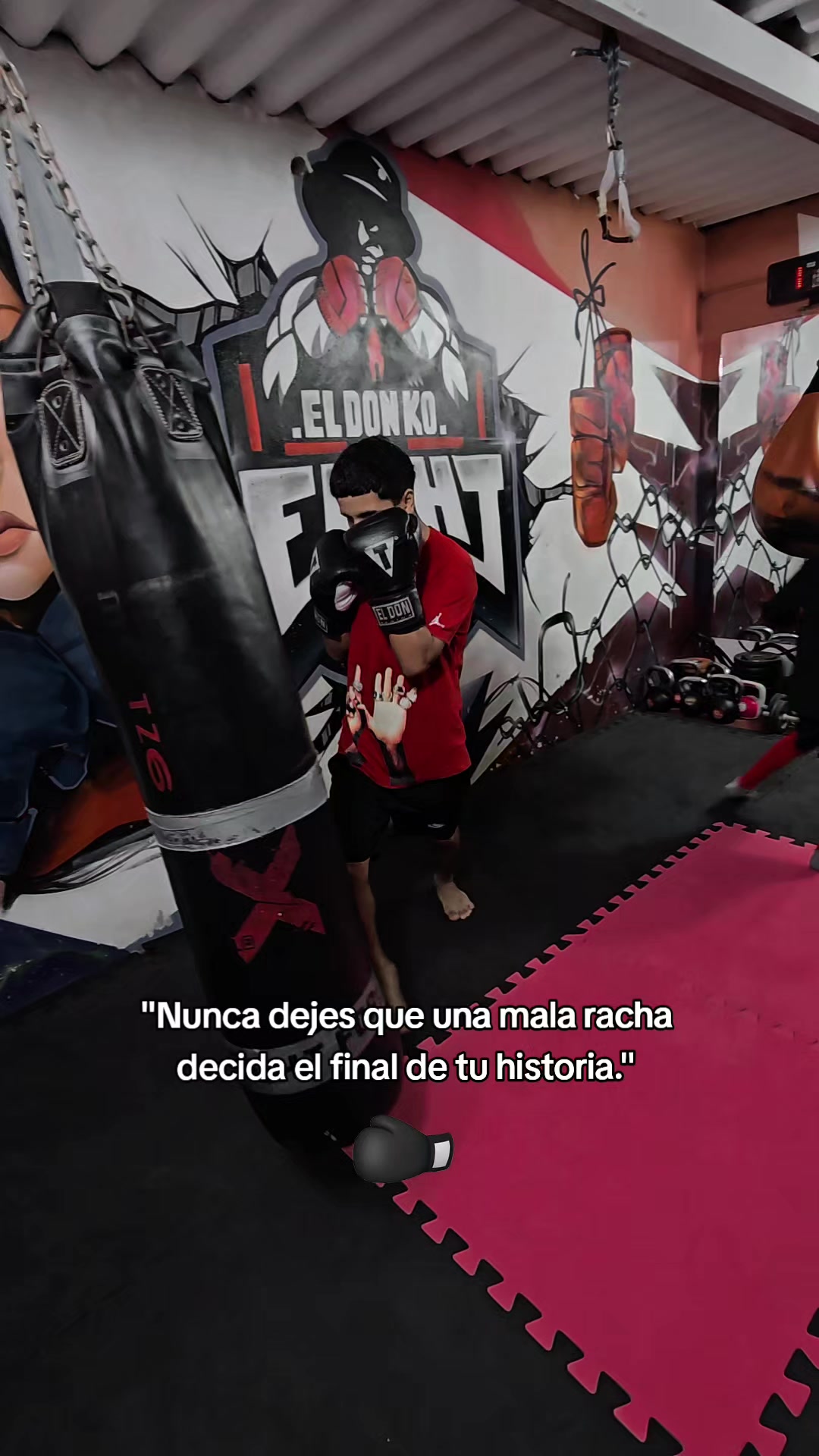@EL DON K.O.🥊