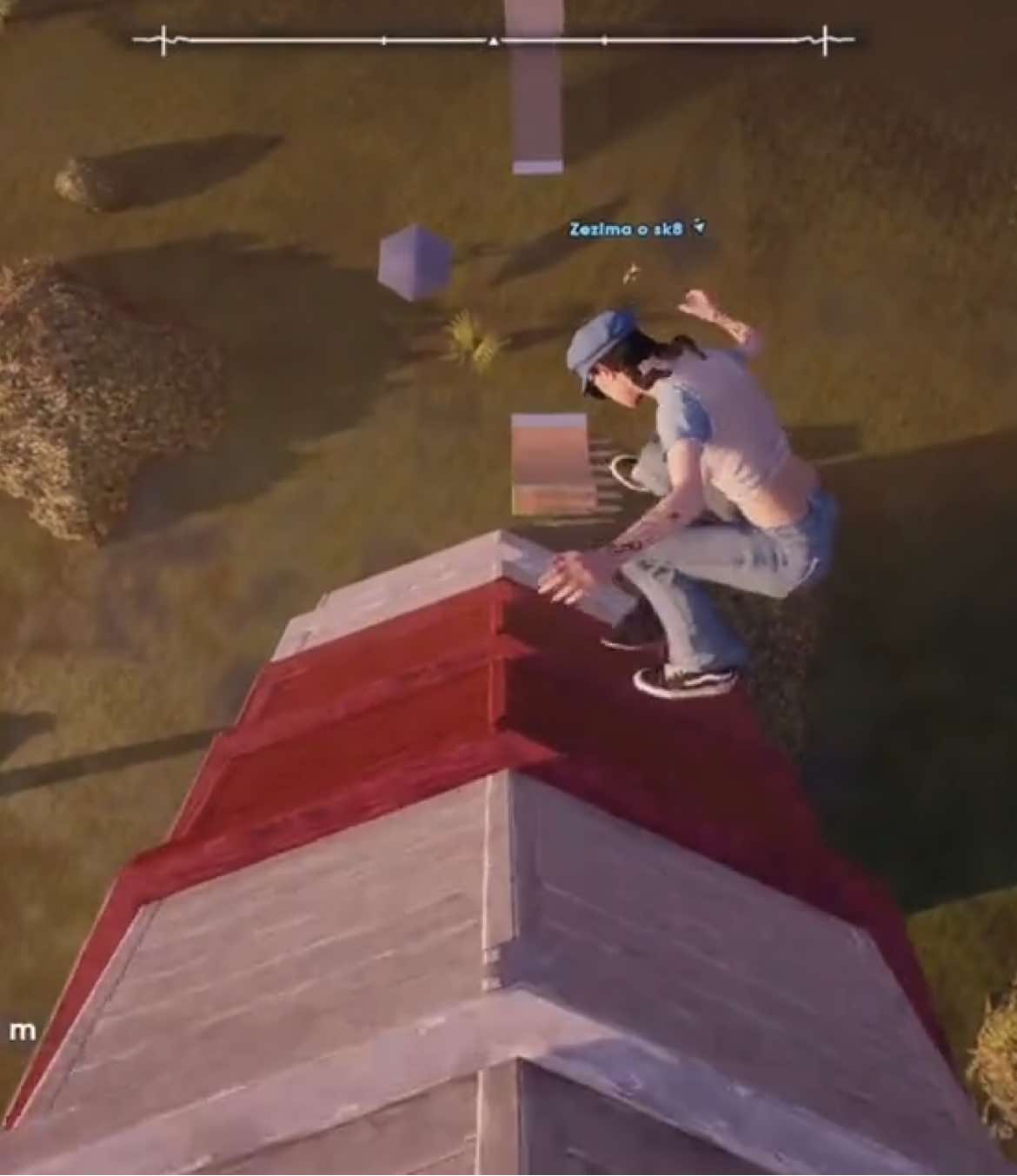 @SkateWizard