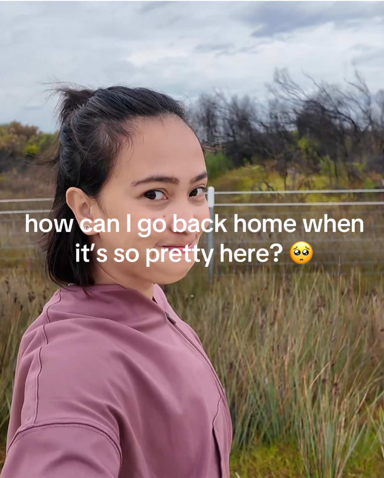 @ELAICA
