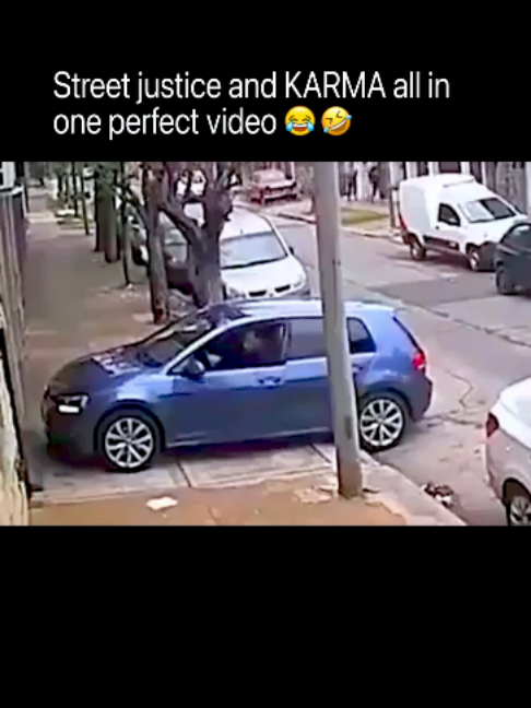 @DailyGoose