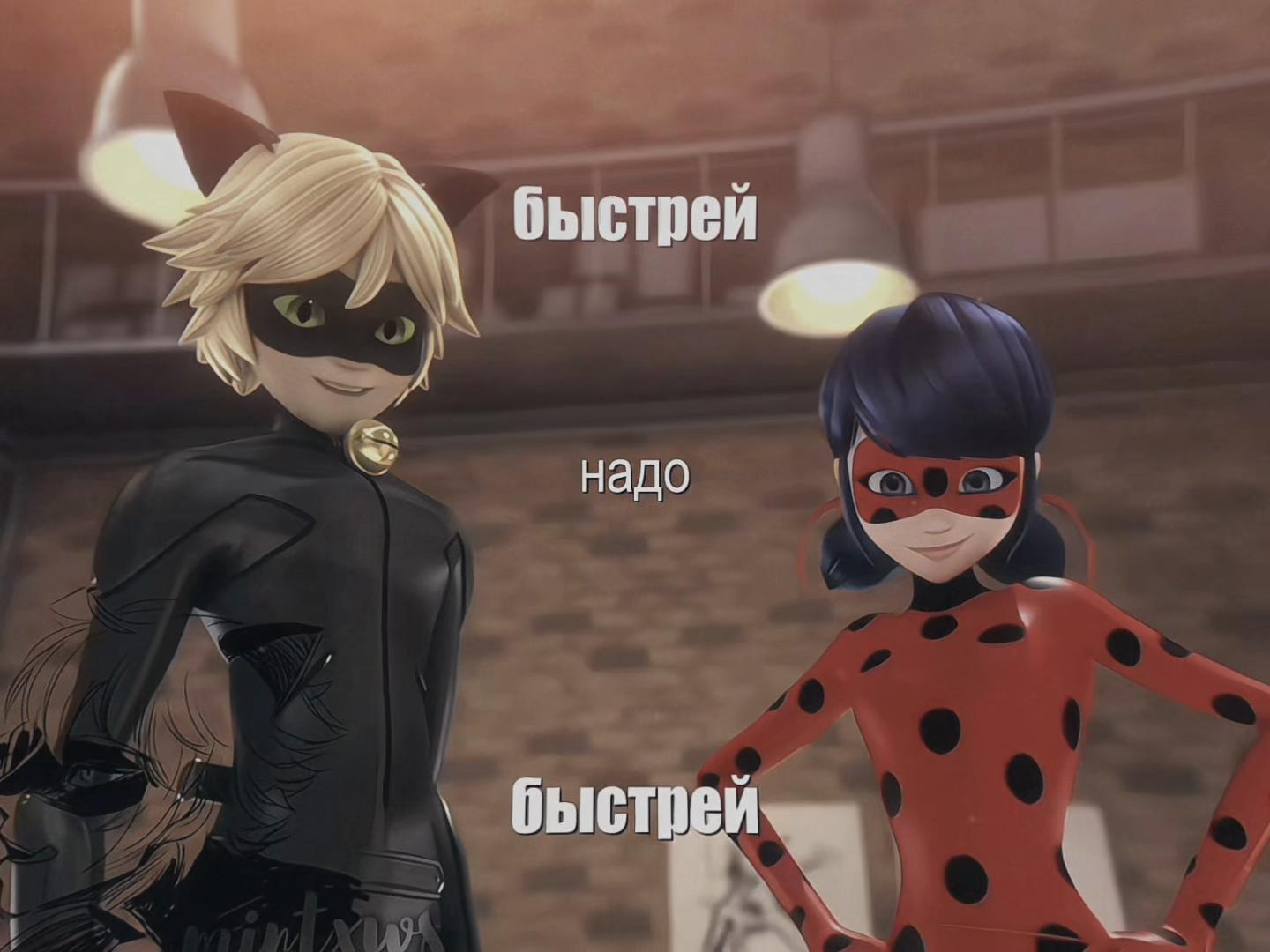 @мурмяшкин митя𓍯𓂃