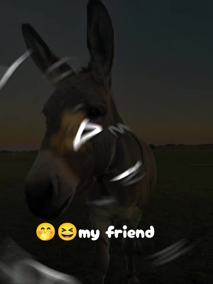 @𝑇𝑆.乛𝐸 𝑆 𝐻 𝑈 .🧸ྀི