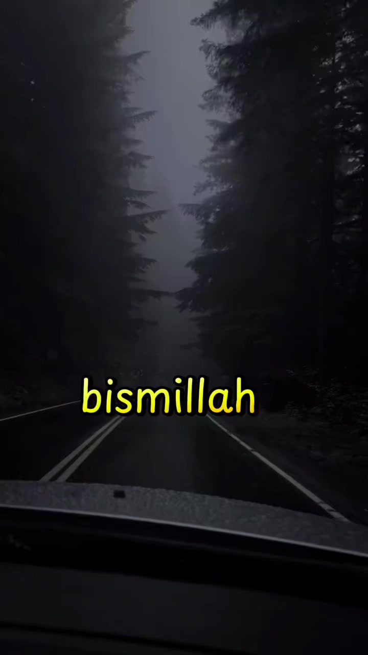 @BİR GARİP YOLCU