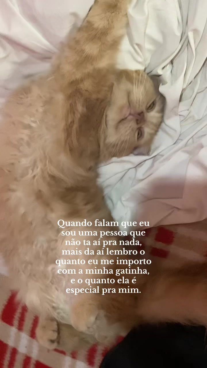 @ymliviaa
