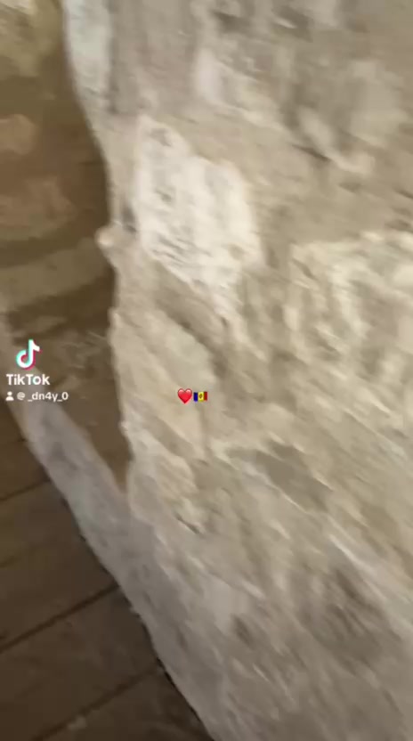 @Anișoara Viziru