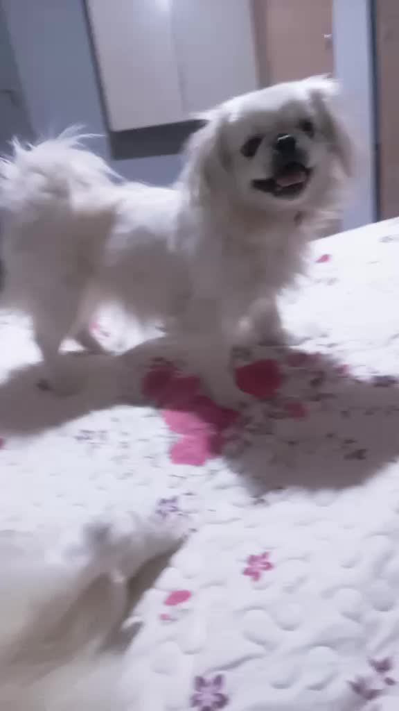 @Charn&eacute;.deBeer.