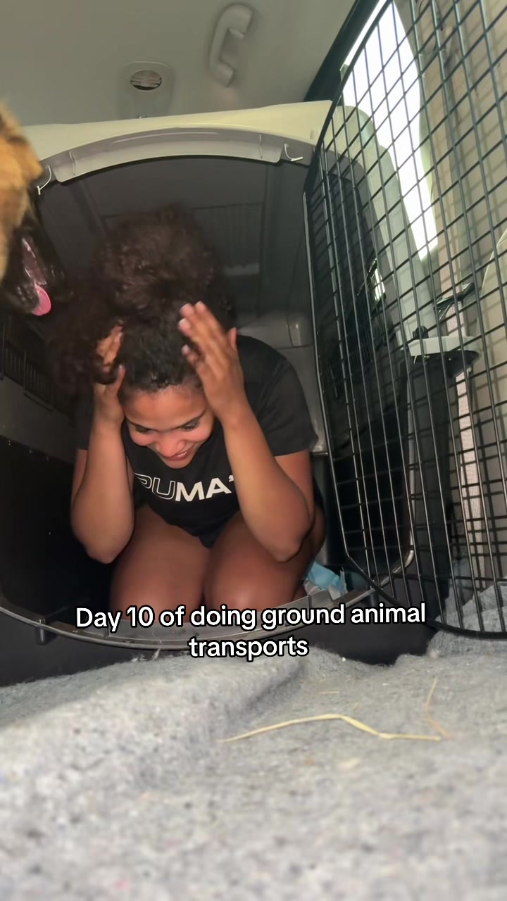@Tatianna Wilson