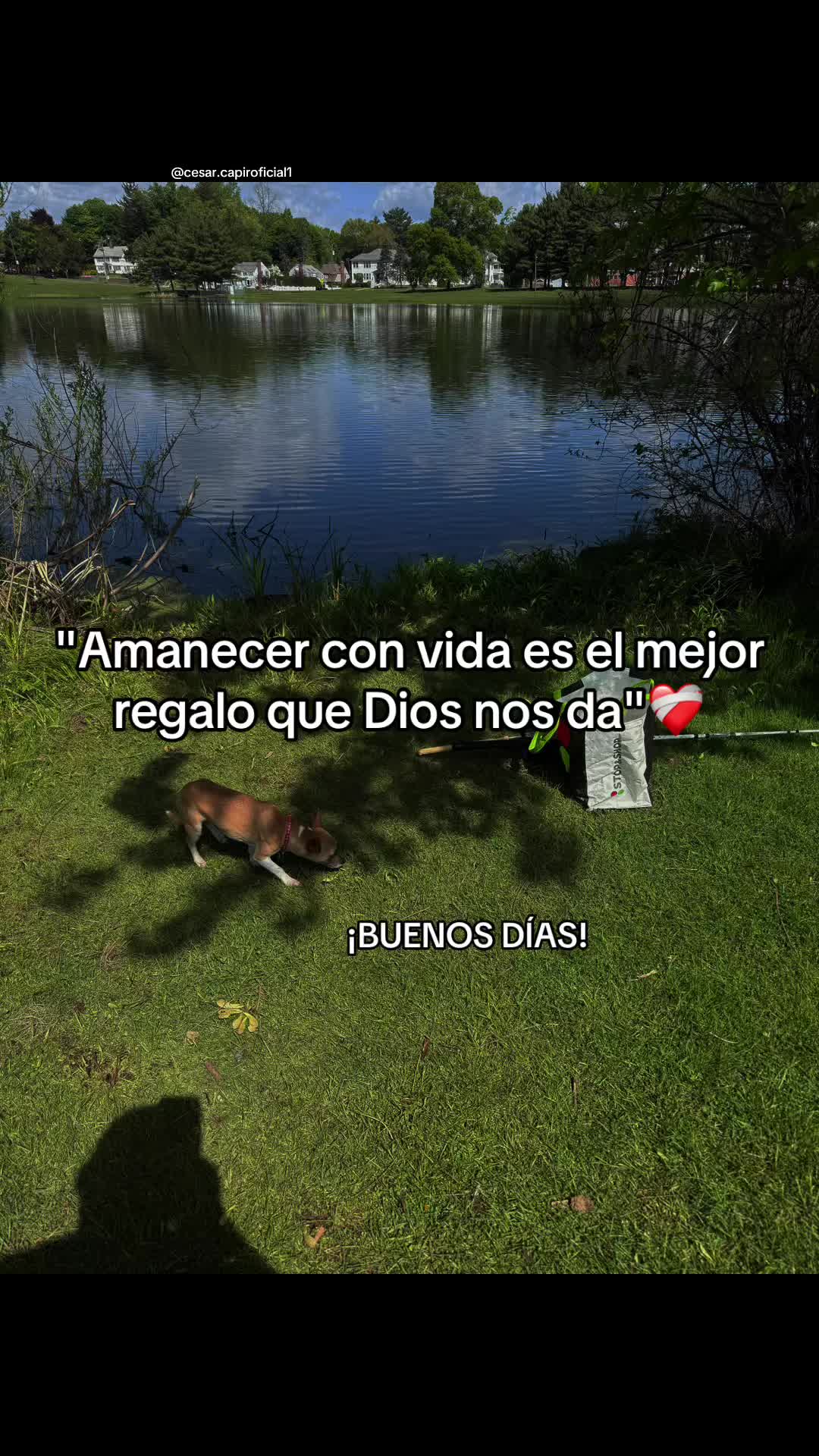 @SilviaGarcia
