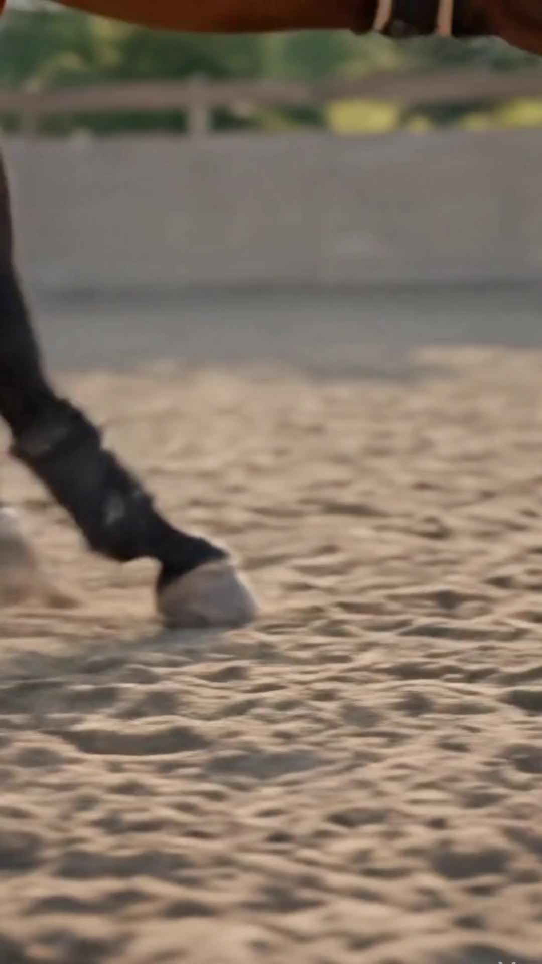 @Golden Horseshoe Equestrian