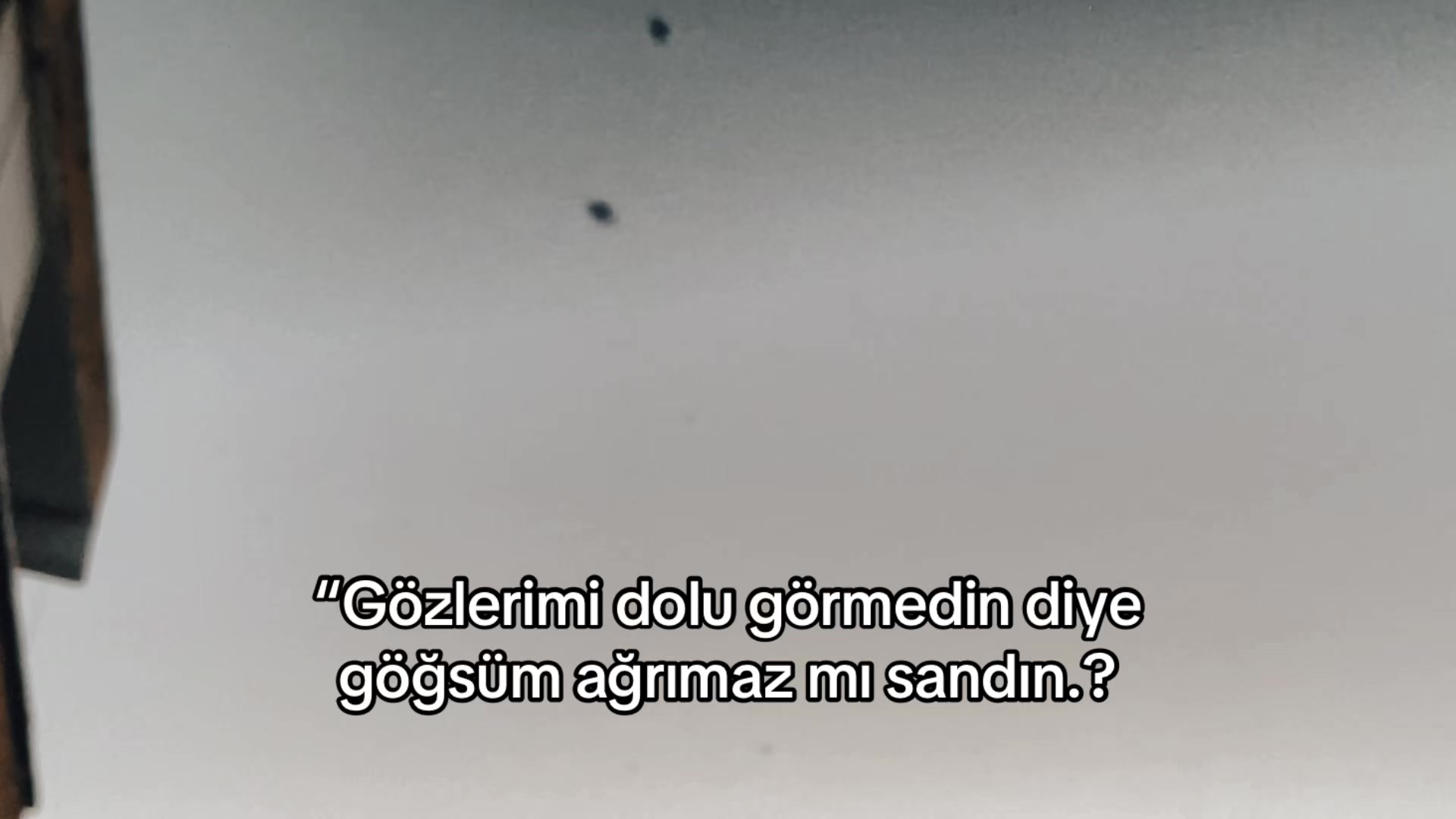 @___mysee