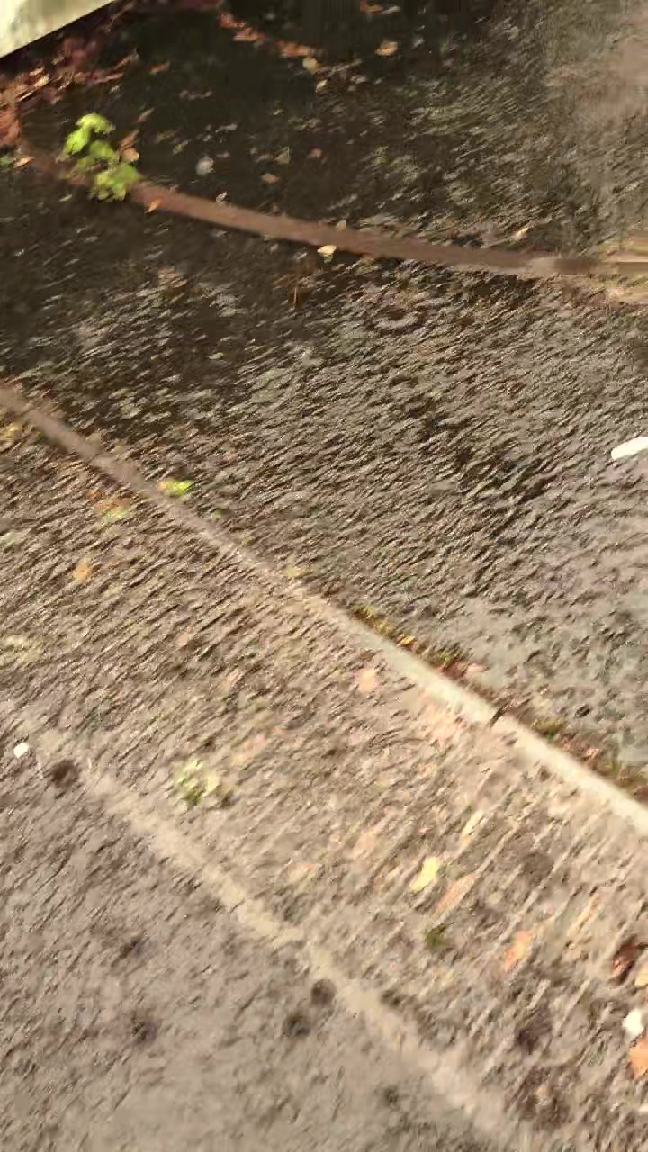@K🍀