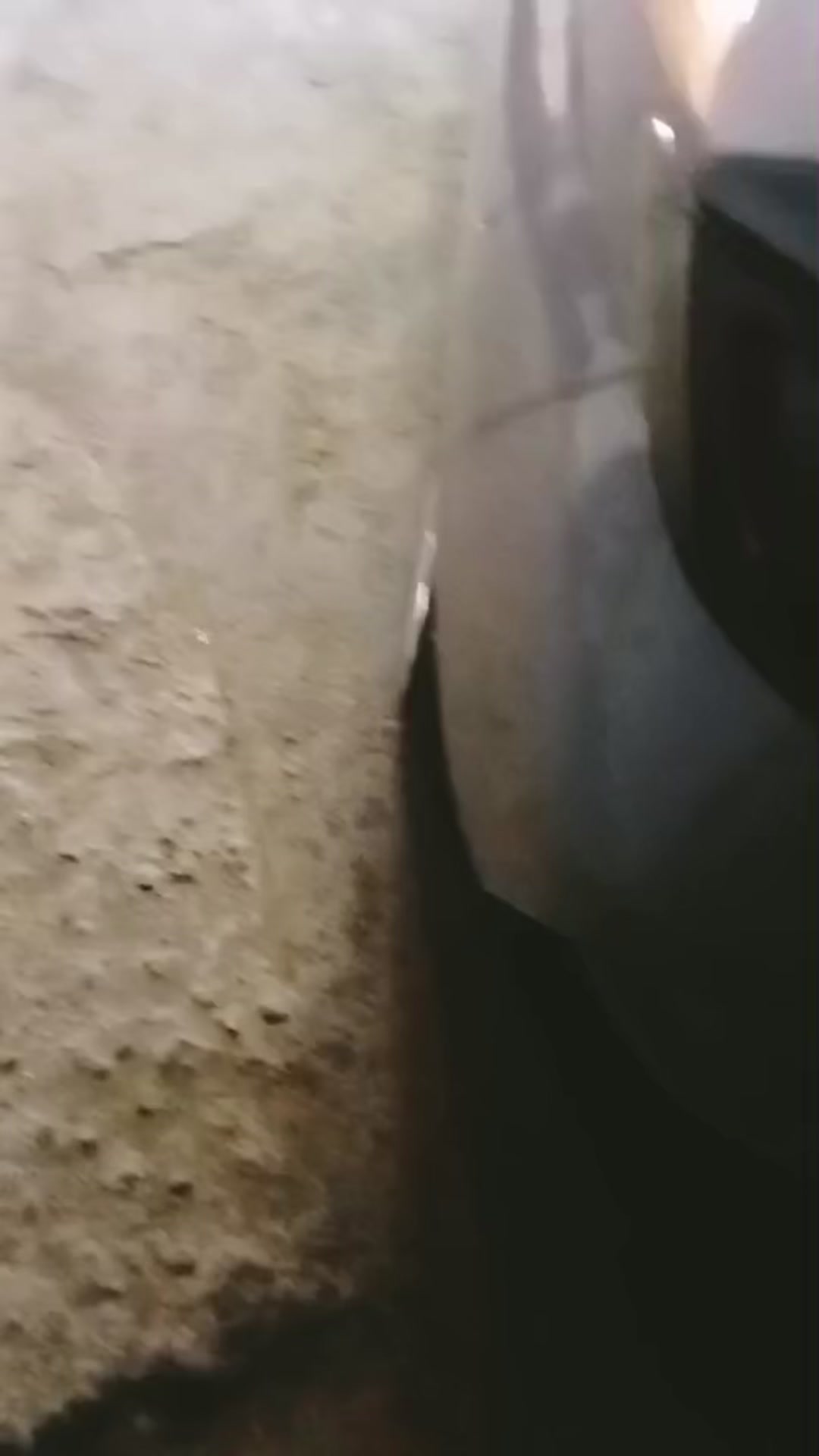 @yamtamu65