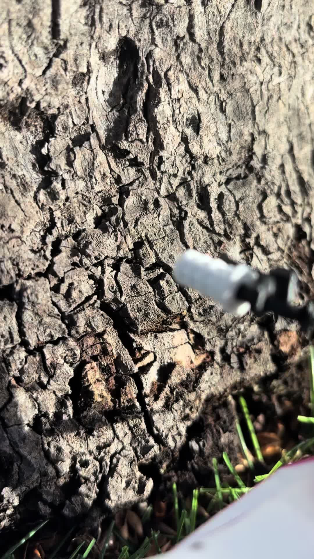 @projectmini™