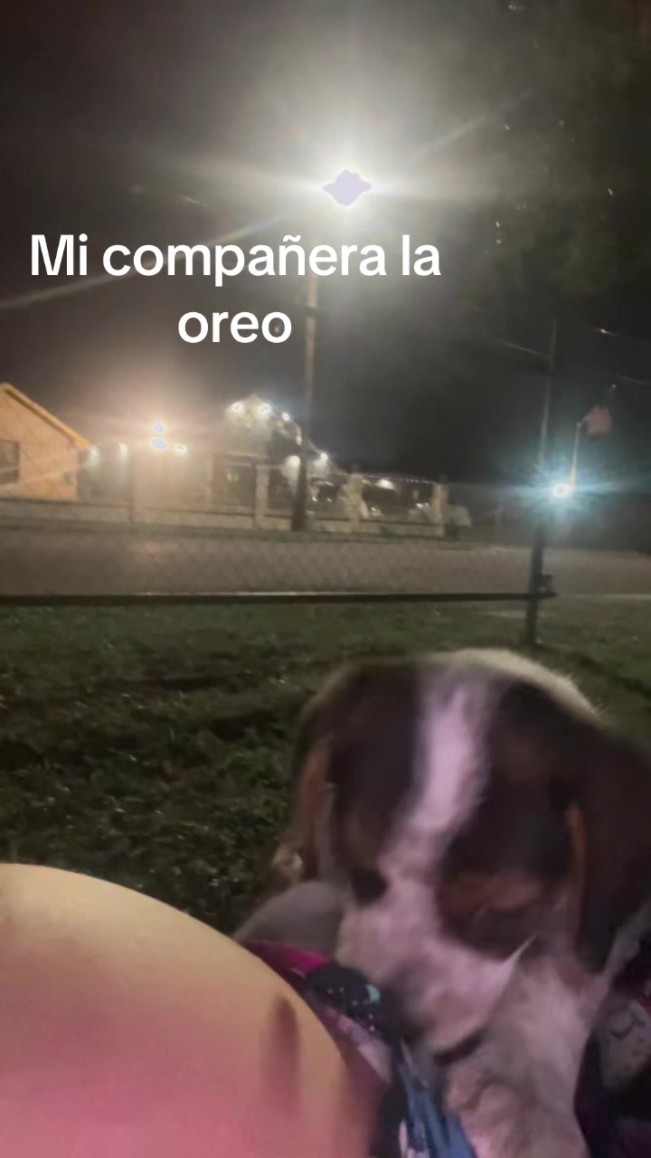 @elvia karime
