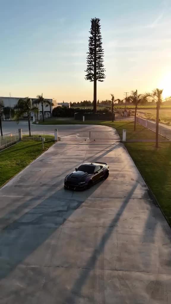 @TopTierMustang