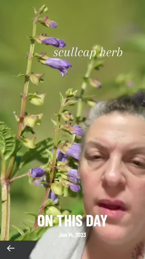 @witchfoot