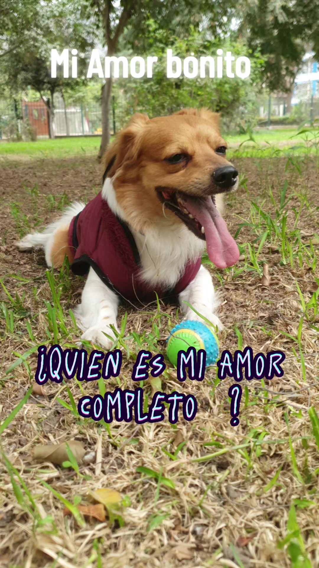 @💃💥🌹🇵🇪💟