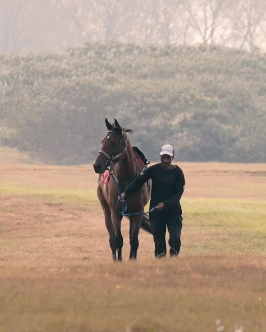 @Gallop TV