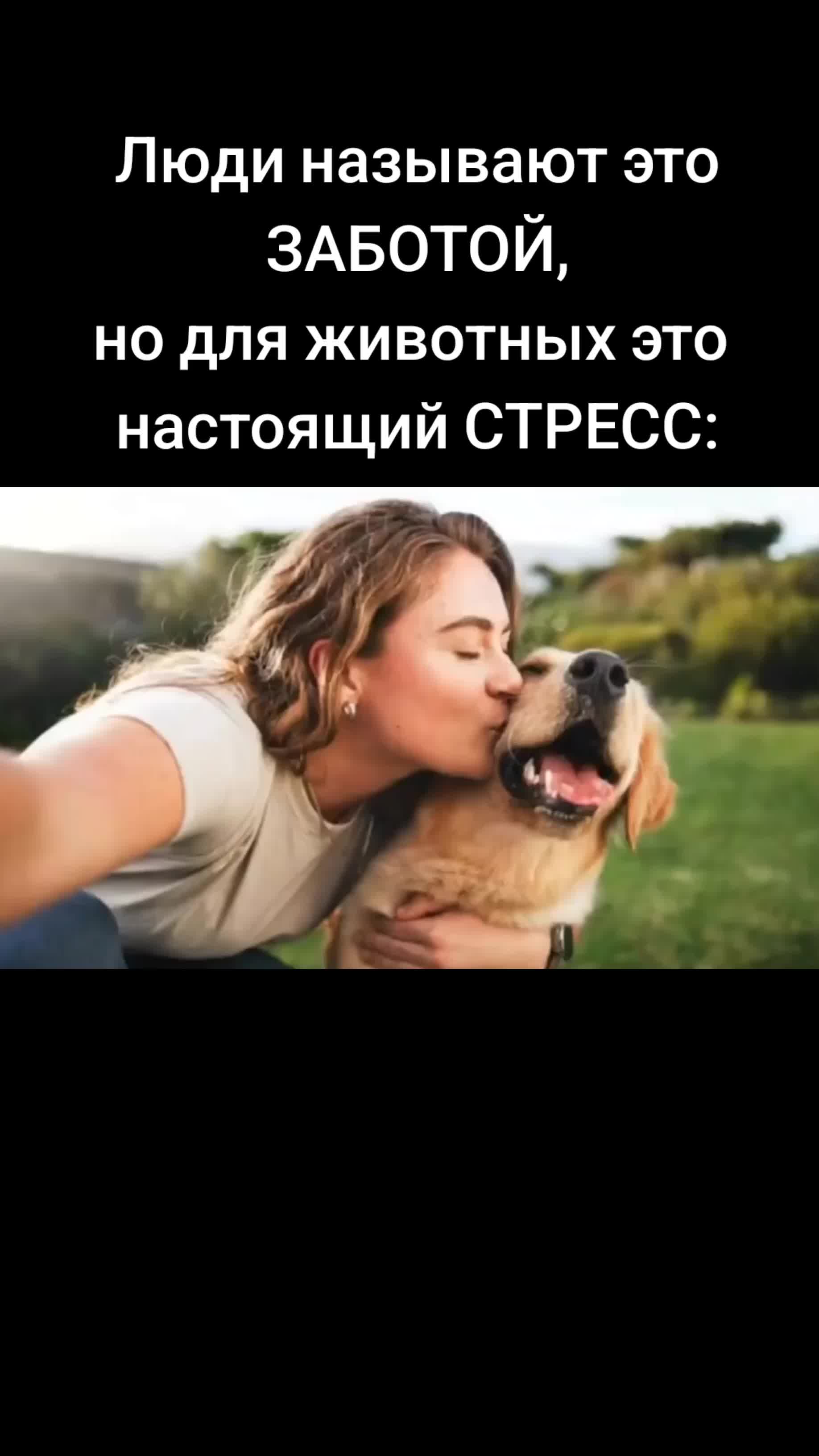 @Алёна Веста