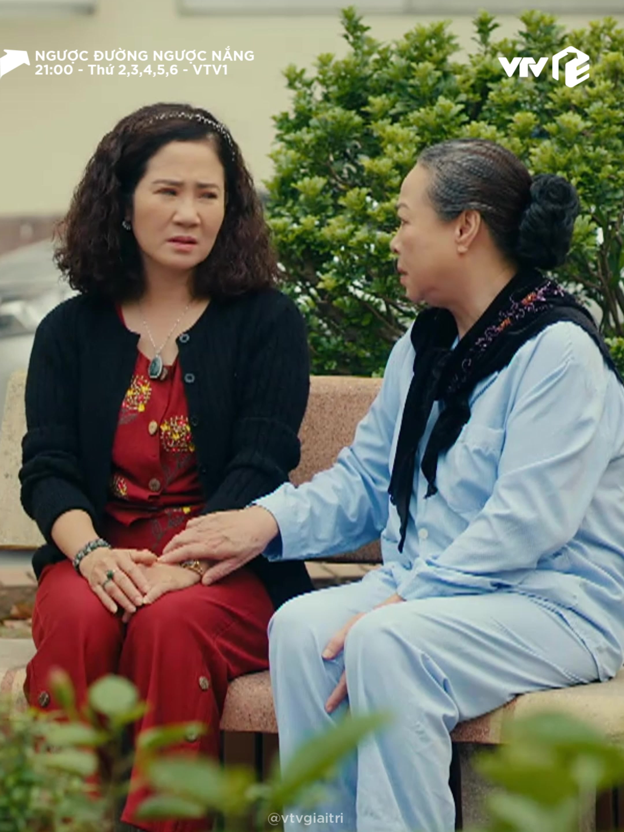@VTV Giai Tri Official